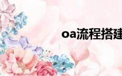 oa流程搭建（oa流程）