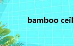 bamboo ceiling是什么意思