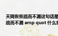 天网恢恢疏而不漏这句话是谁说的（amp quot 天网恢恢 疏而不漏 amp quot 什么意思）