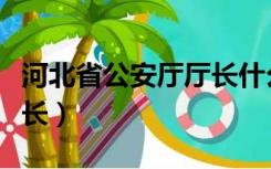 河北省公安厅厅长什么级别（河北省公安厅厅长）