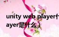 unity web player什么意思（unity web player是什么）