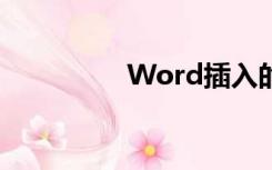 Word插入的图片不完整