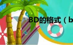 BD的格式（bd是什么格式）