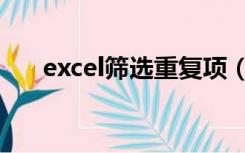 excel筛选重复项（excle筛选重复项）