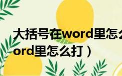 大括号在word里怎么打快捷键（大括号在word里怎么打）