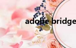 adobe bridge cs6可以卸载吗