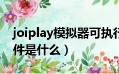 joiplay模拟器可执行文件是什么（可执行文件是什么）