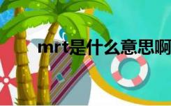 mrt是什么意思啊（MRT什么意思）