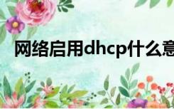 网络启用dhcp什么意思（dhcp什么意思）