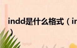 indd是什么格式（indd文件用什么软件打开）