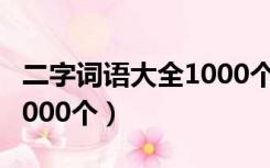 二字词语大全1000个及解释（二字词语大全1000个）