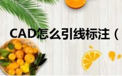 CAD怎么引线标注（cad引线标注怎么用）