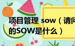 项目管理 sow（请问项目计划制作中常常说的SOW是什么）