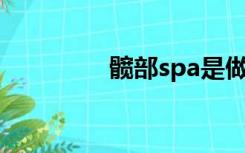 髋部spa是做什么（髋部）