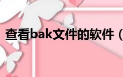 查看bak文件的软件（bak文件查看器下载）