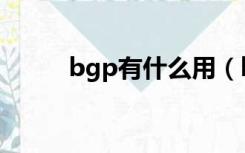 bgp有什么用（bgp是什么意思）