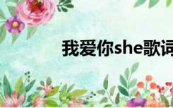 我爱你she歌词（我爱你she）