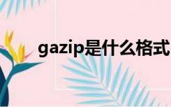 gazip是什么格式（zip是什么格式）