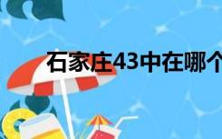 石家庄43中在哪个区（石家庄43中）