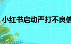 小红书启动严打不良信息（小红书启动整改）