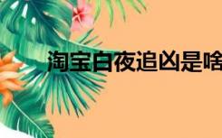 淘宝白夜追凶是啥（淘宝 白夜追凶）