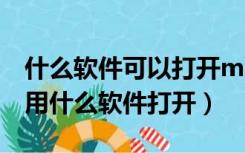 什么软件可以打开mpp格式文件（mpp格式用什么软件打开）