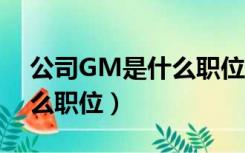 公司GM是什么职位（公司里面 GM 是个什么职位）