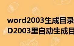 word2003生成目录怎么操作（如何在WORD2003里自动生成目录）