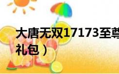 大唐无双17173至尊礼包（大唐无双17173礼包）