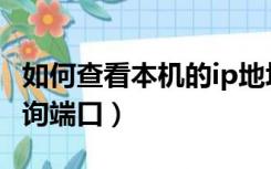 如何查看本机的ip地址和端口（本机ip地址查询端口）