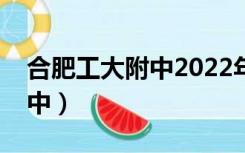 合肥工大附中2022年高考成绩（合肥工大附中）