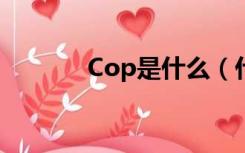 Cop是什么（什么是COP 值）