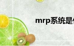 mrp系统是什么（mrp）