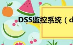 DSS监控系统（dss视频监控软件）