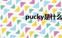 pucky是什么意思（puck）