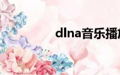 dlna音乐播放器（dlna）