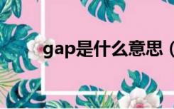 gap是什么意思（gsp是什么意思）