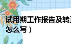 试用期工作报告及转正申请怎么写（转正申请怎么写）