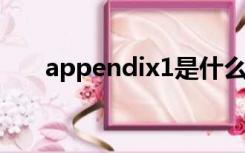 appendix1是什么意思（appendix）