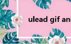 ulead gif animator手机版