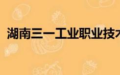 湖南三一工业职业技术学院是公办还是民办