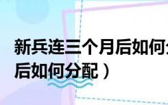 新兵连三个月后如何分配干部（新兵连三个月后如何分配）