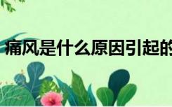 痛风是什么原因引起的怎么治（痛风是什么）