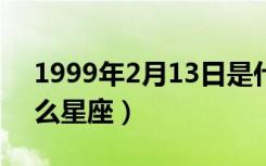 1999年2月13日是什么星座（2月13日是什么星座）