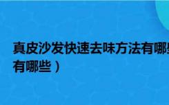 真皮沙发快速去味方法有哪些图片（真皮沙发快速去味方法有哪些）