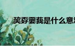 巭孬嫑莪是什么意思（莪是什么意思）