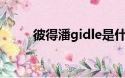 彼得潘gidle是什么（idle是什么）