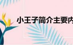 小王子简介主要内容（小王子简介）