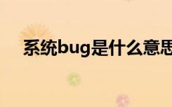 系统bug是什么意思（bug是什么意思）