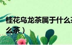 桂花乌龙茶属于什么茶种（桂花乌龙茶属于什么茶）